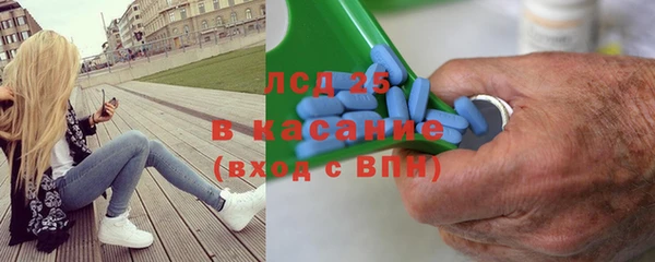 прущие грибы Лихославль