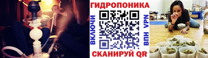 Бошки Шишки планчик Зея